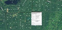 None Vacant, Merrill Township, MI